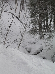 /Ski/2006/Images/1309/parquet22Icon.JPG