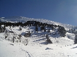 /Ski/2006/Images/1313/balme026Icon.JPG