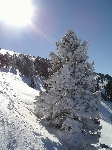 /Ski/2006/Images/1313/balme041Icon.JPG