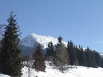 /Ski/2006/Images/1313/balme141Icon.JPG