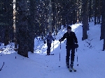 /Ski/2006/Images/1315/balme011Icon.JPG