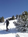 /Ski/2006/Images/1315/balme036Icon.JPG