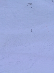 /Ski/2006/Images/1348/IMG_04Icon.JPG