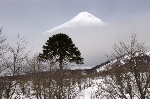 /Ski/2006/Images/1372/IMG_WEB_005Icon.jpg