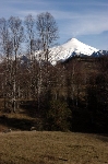 /Ski/2006/Images/1372/IMG_WEB_007Icon.jpg