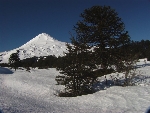 /Ski/2006/Images/1373/IMG_WEB_003Icon.jpg