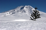 /Ski/2006/Images/1374/IMG_WEB_002Icon.jpg
