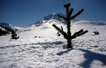 /Ski/2006/Images/1374/IMG_WEB_011Icon.jpg