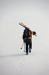 /Ski/2006/Images/1375/IMG_WEB_007Icon.jpg