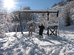 /Ski/2006/Images/1382/IMG_23Icon.JPG