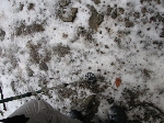/Ski/2006/Images/1389/IMG_05Icon.JPG