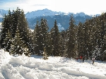 /Ski/2007/Images/1395/Rocheboc001Icon.jpg