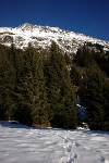 /Ski/2007/Images/1400/IMG_WEB_010Icon.jpg