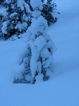 /Ski/2007/Images/1403/IMG_01Icon.JPG