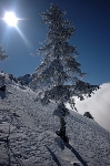 /Ski/2007/Images/1410/IMG_WEB_011Icon.jpg