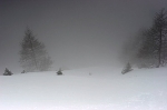 /Ski/2007/Images/1427/IMG_WEB_0Icon.jpg
