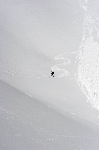 /Ski/2007/Images/1428/IMG_WEB_005Icon.jpg