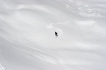 /Ski/2007/Images/1428/IMG_WEB_014Icon.jpg