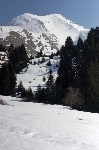 /Ski/2007/Images/1431/IMG_WEB_015Icon.jpg