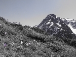 /Ski/2007/Images/1452/pointeRognier056Icon.jpg
