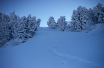 /Ski/2007/Images/1469/IMG_WEB_007Icon.jpg