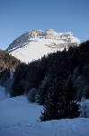 /Ski/2007/Images/1482/IMG_WEB_007Icon.jpg