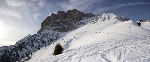 /Ski/2007/Images/1484/IMG_WEB_0000Icon.jpg