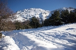 /Ski/2008/Images/1488/IMG_WEB_000Icon.jpg