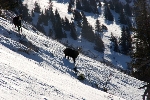 /Ski/2008/Images/1488/IMG_WEB_002Icon.jpg