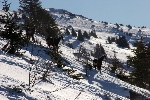 /Ski/2008/Images/1488/IMG_WEB_003Icon.jpg