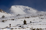 /Ski/2008/Images/1493/IMG_WEB_000Icon.jpg
