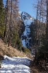 /Ski/2008/Images/1519/IMG_WEB_001Icon.jpg