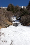 /Ski/2008/Images/1519/IMG_WEB_007Icon.jpg