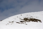 /Ski/2008/Images/1522/IMG_WEB_007Icon.jpg
