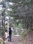 /Ski/2008/Images/1532/Colon002Icon.jpg