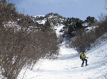 /Ski/2008/Images/1532/Colon201Icon.jpg