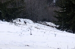 /Ski/2008/Images/1534/Balmette00071Icon.jpg
