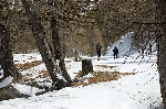 /Ski/2008/Images/1538/Maljasset00012Icon.jpg