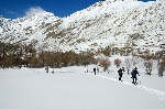 /Ski/2008/Images/1538/Maljasset00018Icon.jpg
