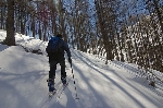 /Ski/2008/Images/1538/Maljasset00020Icon.jpg