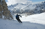 /Ski/2008/Images/1538/Maljasset00048Icon.jpg