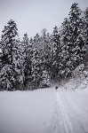 /Ski/2008/Images/1539/IMG_WEB_000Icon.jpg