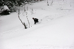 /Ski/2008/Images/1539/IMG_WEB_005Icon.jpg