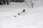 /Ski/2008/Images/1539/IMG_WEB_007Icon.jpg