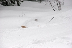 /Ski/2008/Images/1539/IMG_WEB_008Icon.jpg