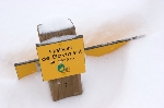 /Ski/2008/Images/1539/IMG_WEB_009Icon.jpg