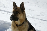 /Ski/2008/Images/1542/Maljasset00115Icon.jpg
