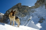 /Ski/2008/Images/1542/Maljasset00130Icon.jpg