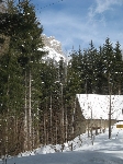 /Ski/2008/Images/1543/mini-IMG_2086Icon.jpg