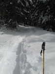 /Ski/2008/Images/1543/mini-IMG_2087Icon.jpg